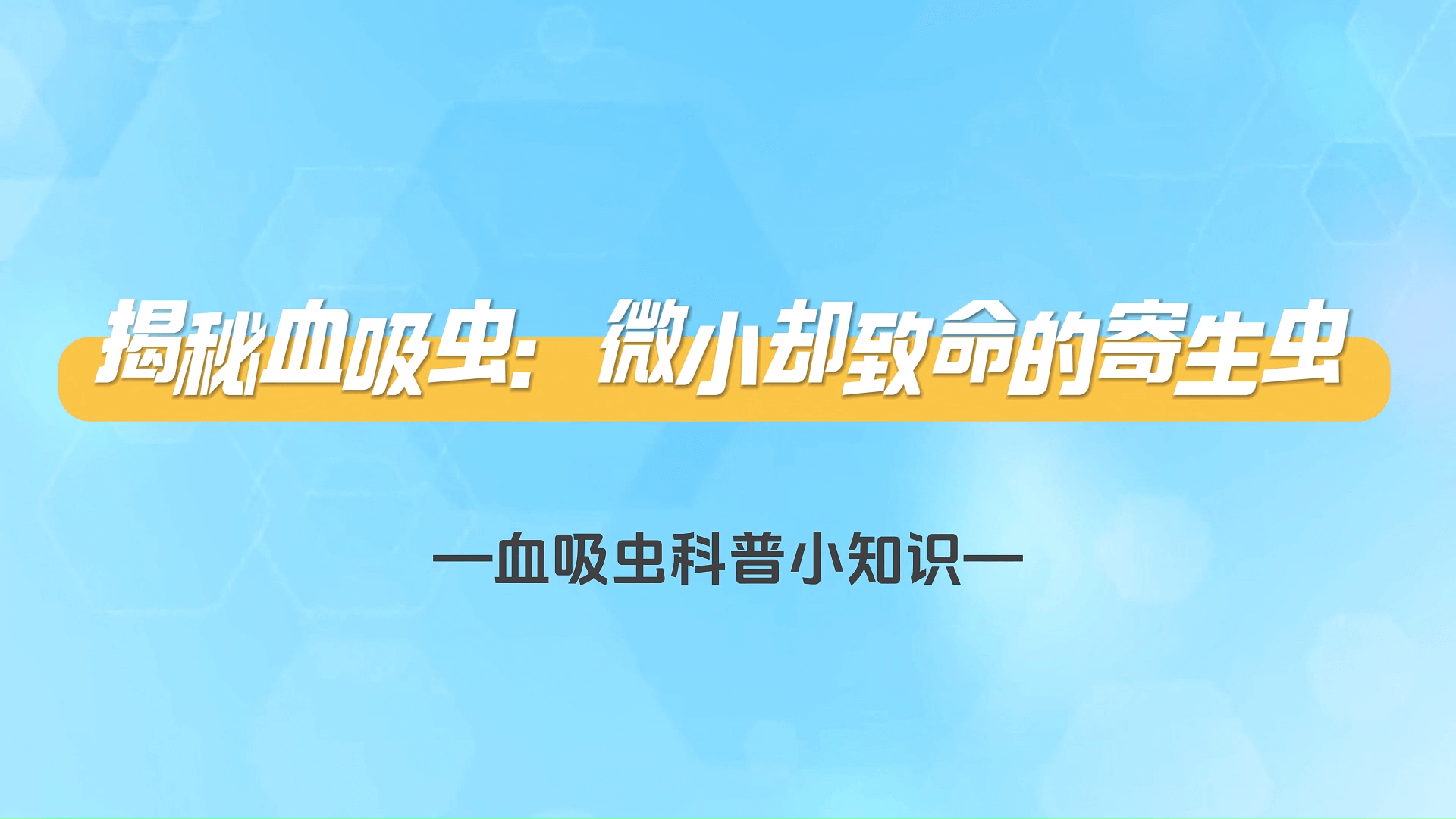 Ѫ没+Ѫ棺΢Сȴļ